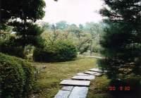 梅園に続く道